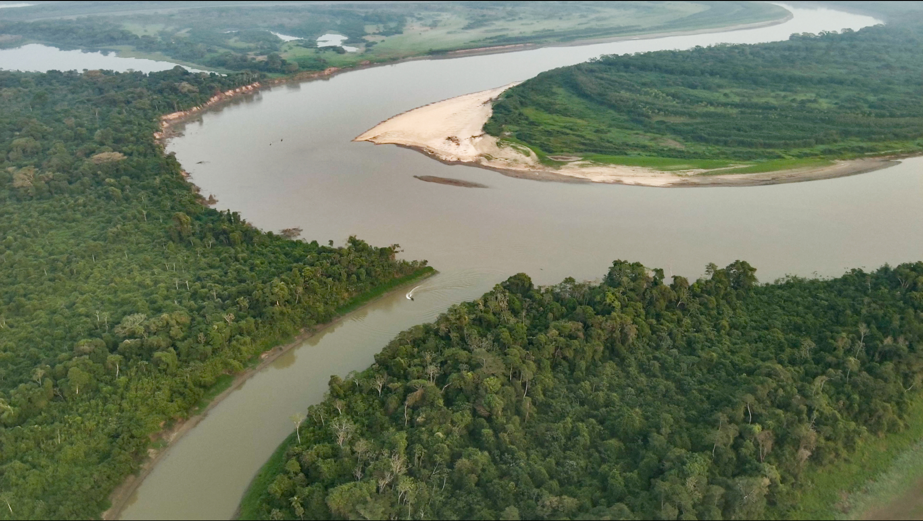 FotografÍa aérea de los Llanos de Moxos. Foto: Christian Gutiérrez / WCS