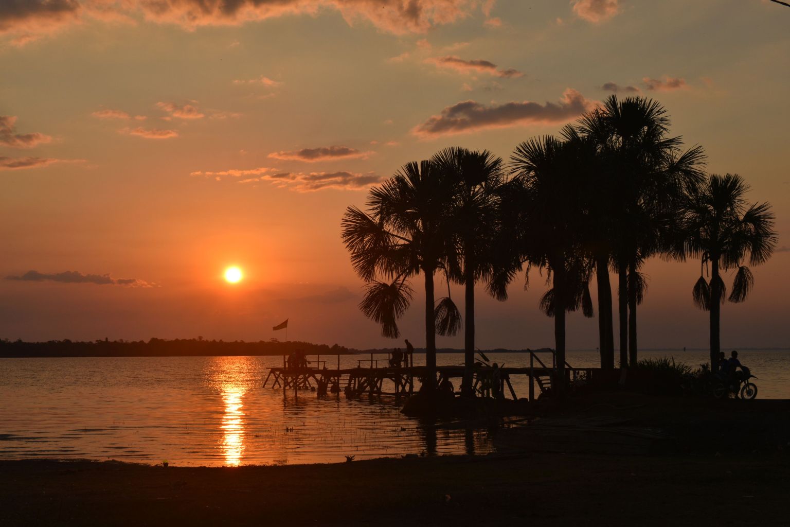 Coquinal en el lago Rogaguado. Foto: C. Jaimes / Universidad de Bonn.