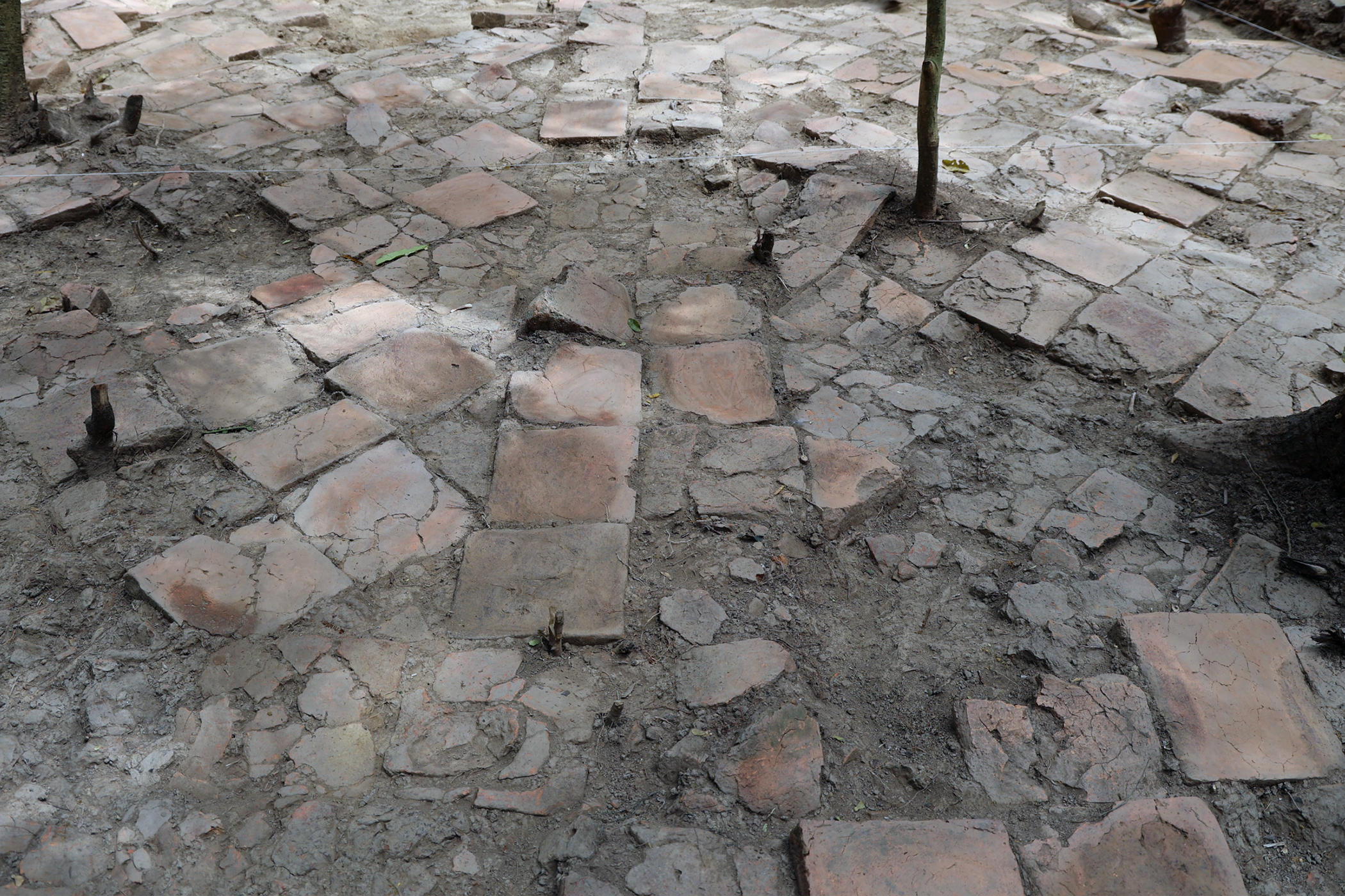 Parte del piso identificado durante las excavaciones arqueológicas en la galería de acceso a la iglesia de la Antigua Trinidad. Foto: Daniela Cabrera / WCS.