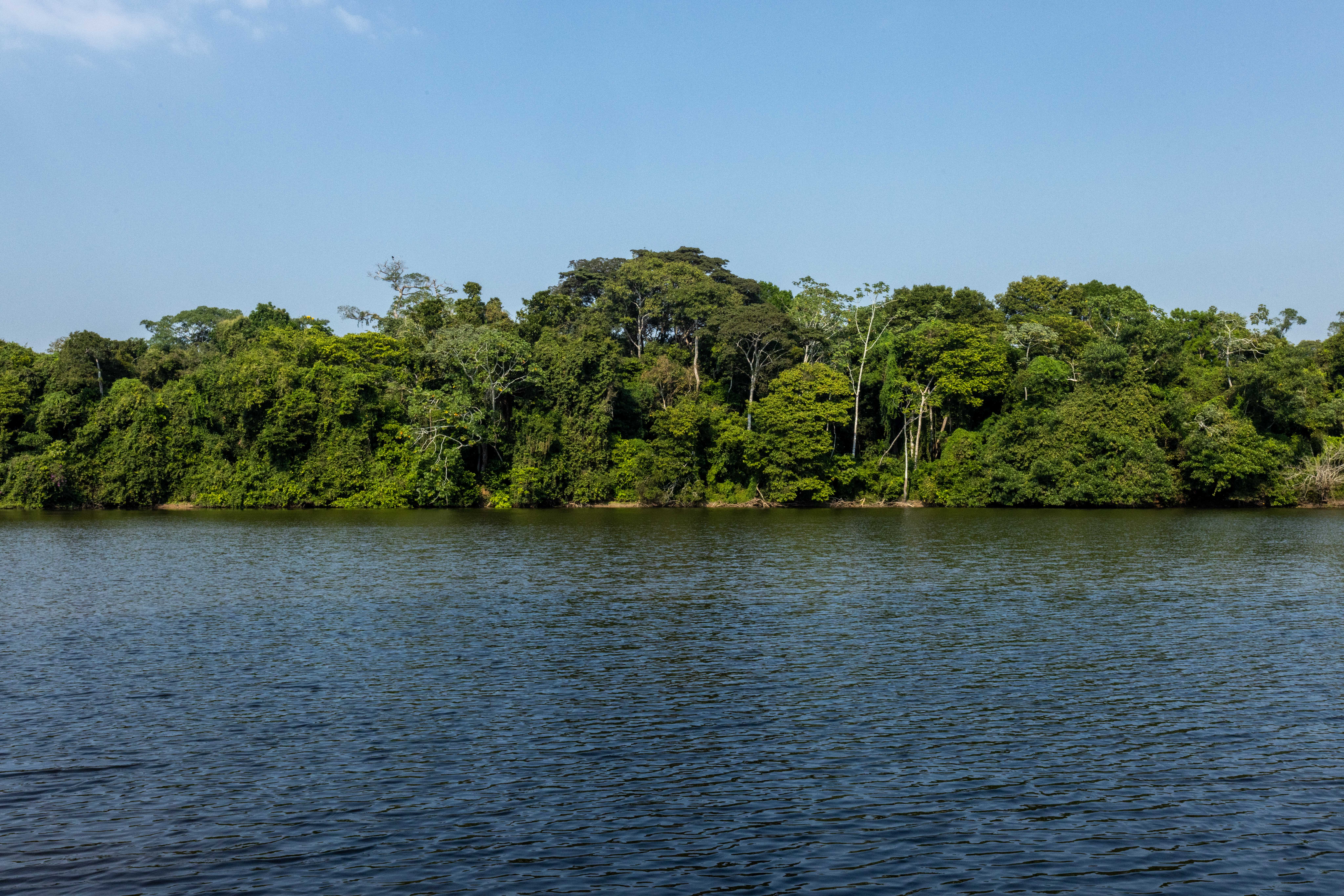FotografÍa panorámica de los Llanos de Moxos. Foto: Christian Gutiérrez / WCS.